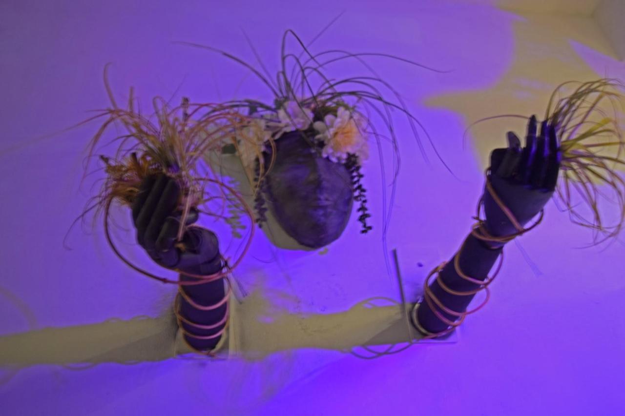 Casa Nomis Cancún Zewnętrze zdjęcie
